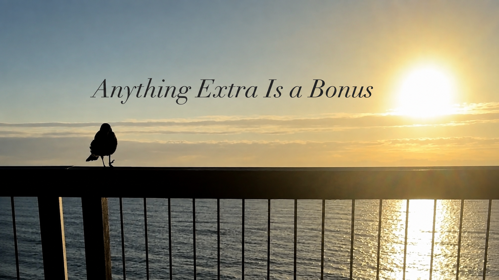 Anything Extra Is A Bonus.